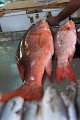 20101202_121821 D3
